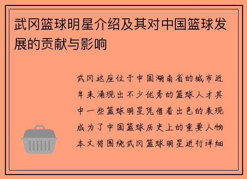 武冈篮球明星介绍及其对中国篮球发展的贡献与影响